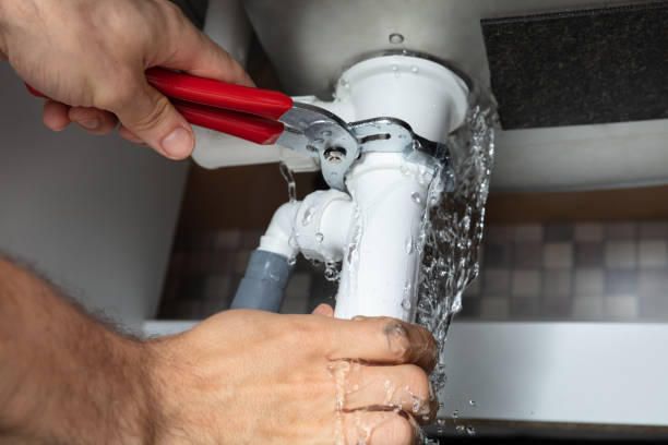 Best Mold removal after water damage  in Hollywood Park, TX