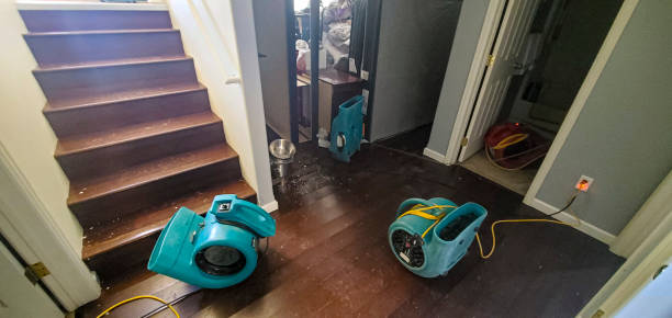 Best Basement water damage restoration  in Hollywood Park, TX
