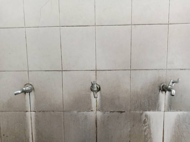 Best Commercial water damage restoration  in Hollywood Park, TX