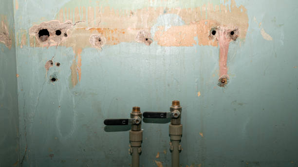 Carpet water damage restoration in Hollywood Park, TX