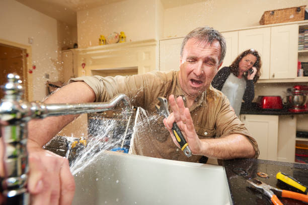 Best Flood damage cleanup  in Hollywood Park, TX